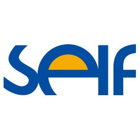 Self Electronics Logo