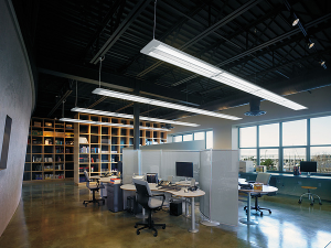 Open Ceiling Office Lighting